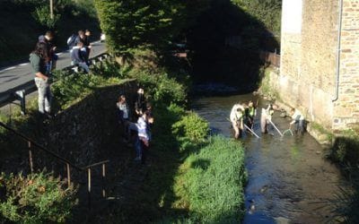 Travaux pratiques pour les 1ères GMNF