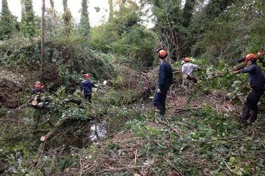 Semaine de travaux pratiques renforcés – Seconde NJPF