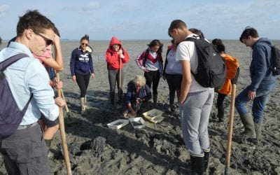 Séjour d’étude dans  la  Baie du Mont-Saint-Michel pour les élèves de 1ère S