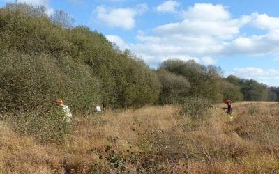 Terminales GMNF à Glomel : une semaine de pratique au sein d’un espace naturel fragile
