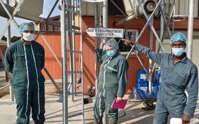 Visite d’une exploitation porcine à Pommeret pour les stagiaires en BPA Porc