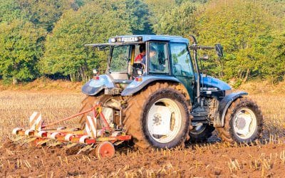 Apprentissage  et  formation adulte en agriculture : effectifs en hausse  et  résultats aux examens 2021