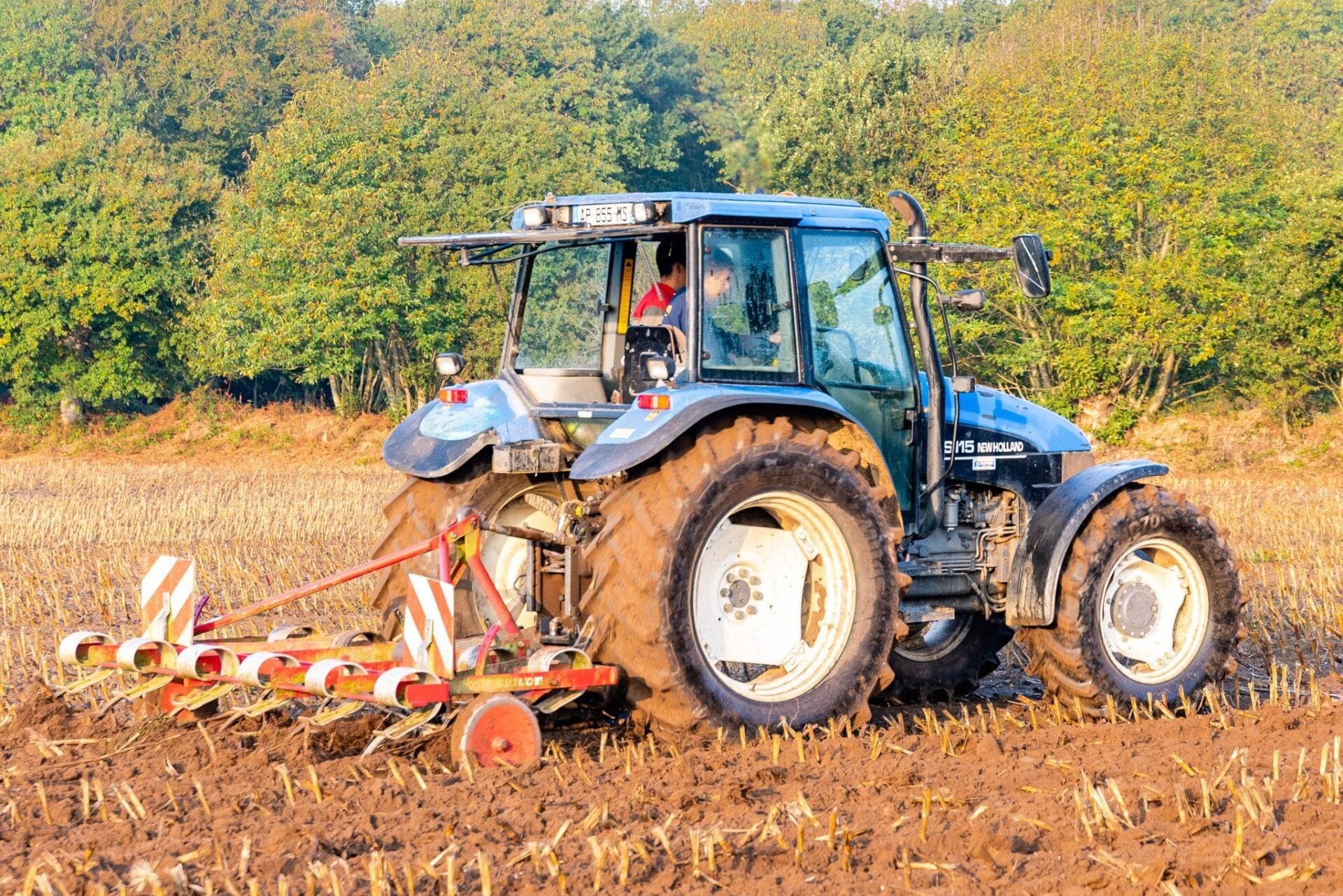 Apprentissage <span> et </span> formation adulte en agriculture : effectifs en hausse <span> et </span> résultats aux examens 2021