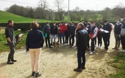 BTS ACSE : rencontre avec d’anciens étudiants installés en GAEC