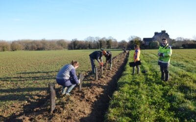 GMNF & CGEA : participer ensemble  à  la   conservation  et   à  la   restauration du bocage