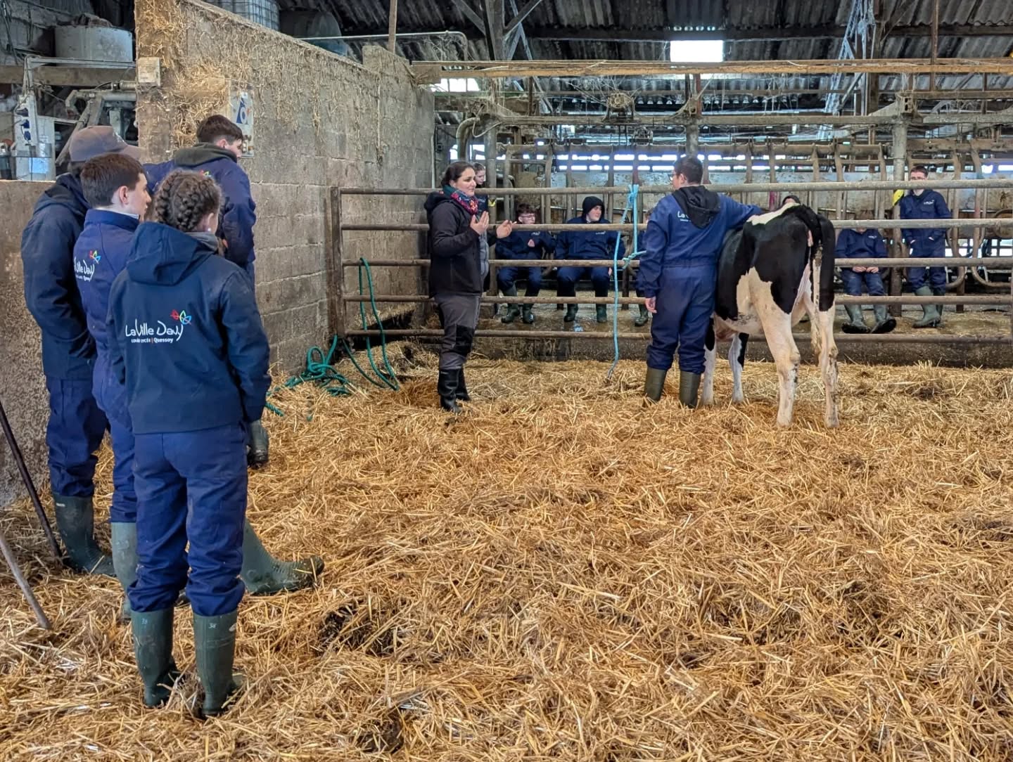 Journée sécurité <span> et </span> manipulation de bovins pour les CAPa 1 MA